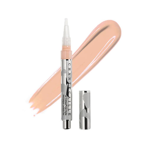 Chantecaille Le Camouflage Stylo 2 with swatch