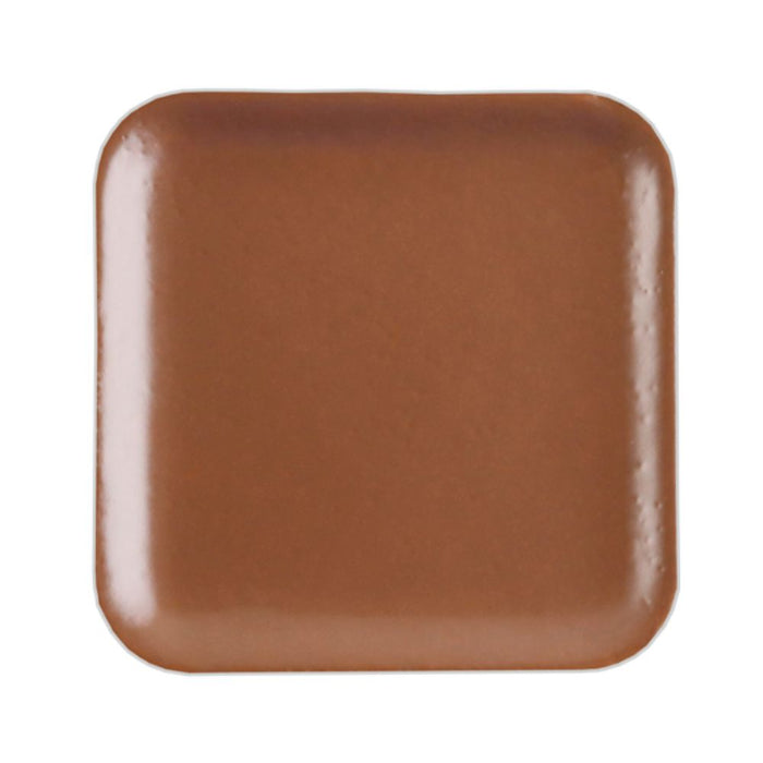European Body Art Encore Skin Tone Refill Pan C10