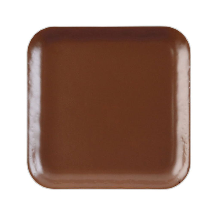 European Body Art Encore Skin Tone Refill Pan C11