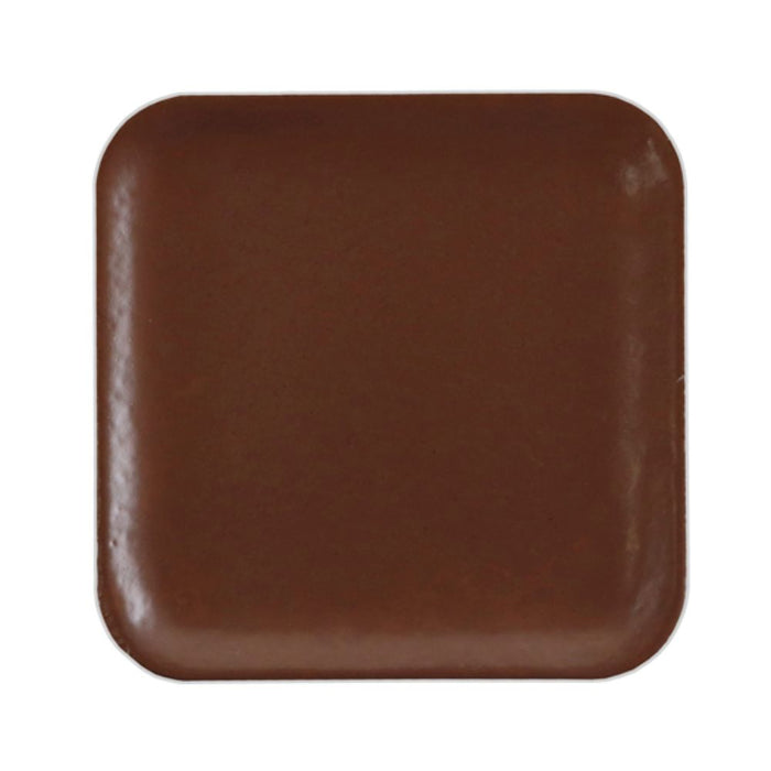European Body Art Encore Skin Tone Refill Pan C12