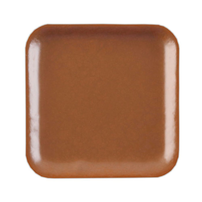European Body Art Encore Skin Tone Refill Pan C9