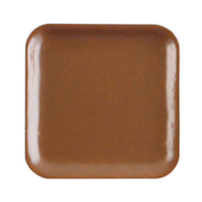 European Body Art Encore Skin Tone Refill Pan N10