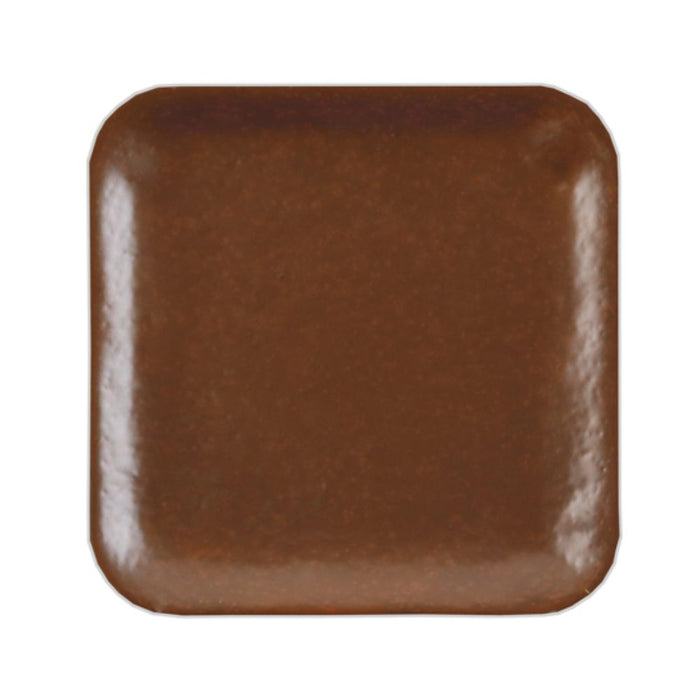 European Body Art Encore Skin Tone Refill Pan N12