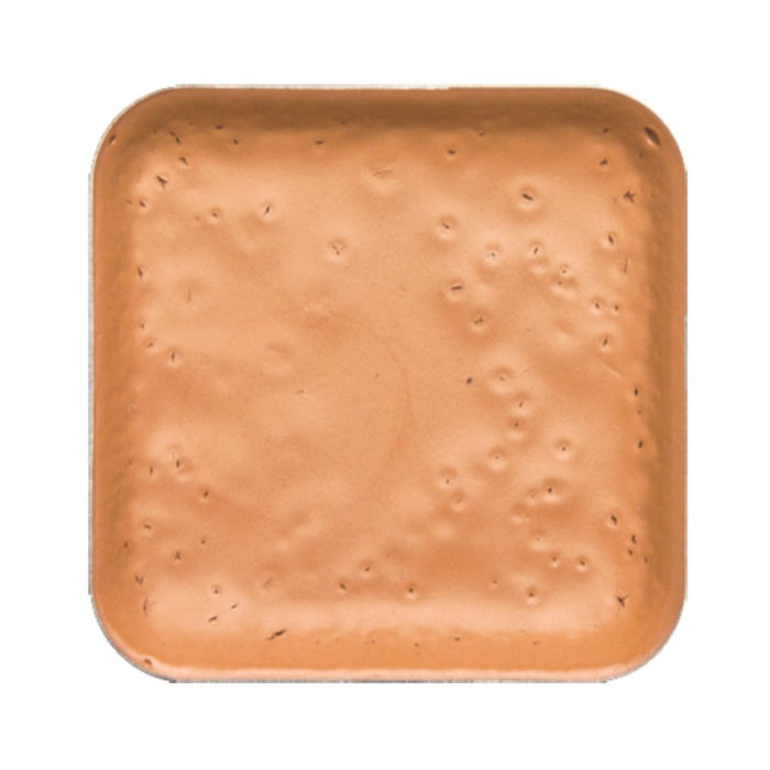 European Body Art Encore Skin Tone Refill Pan W2