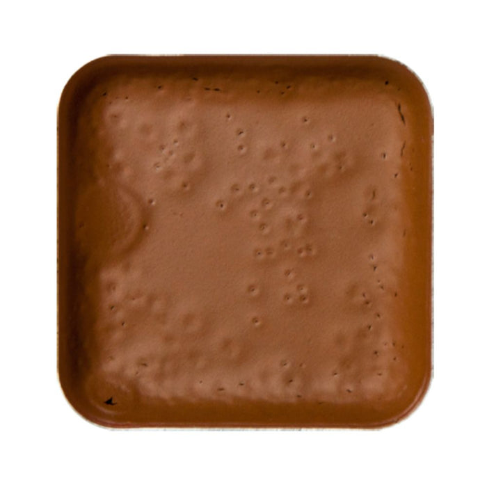 European Body Art Encore Skin Tone Refill Pan W9