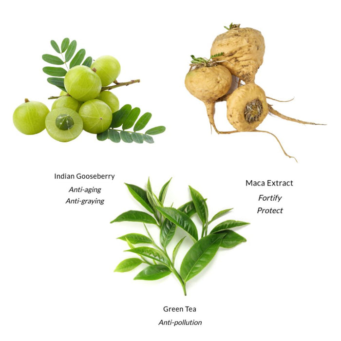 Leonor Greyl Serum Energisant three key ingredients: indian gooseberry, maca extract and green tea. Key benefits listed under each ingredient.