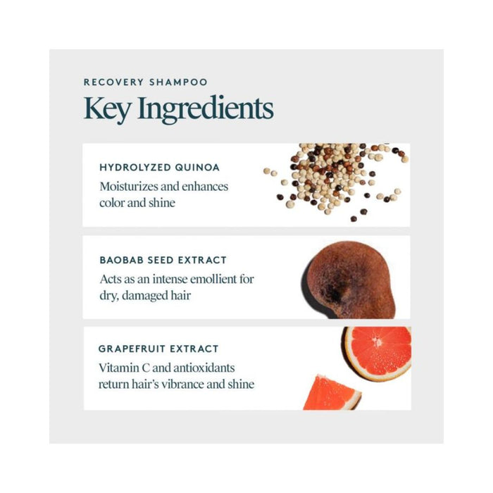 Virtue Recovery Shampoo