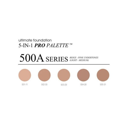 Cinema Secrets Ultimate Foundation 5 in 1 Pro Palette 500A Series Color List 
