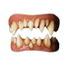 Dental Distortions FX Fangs Morlock