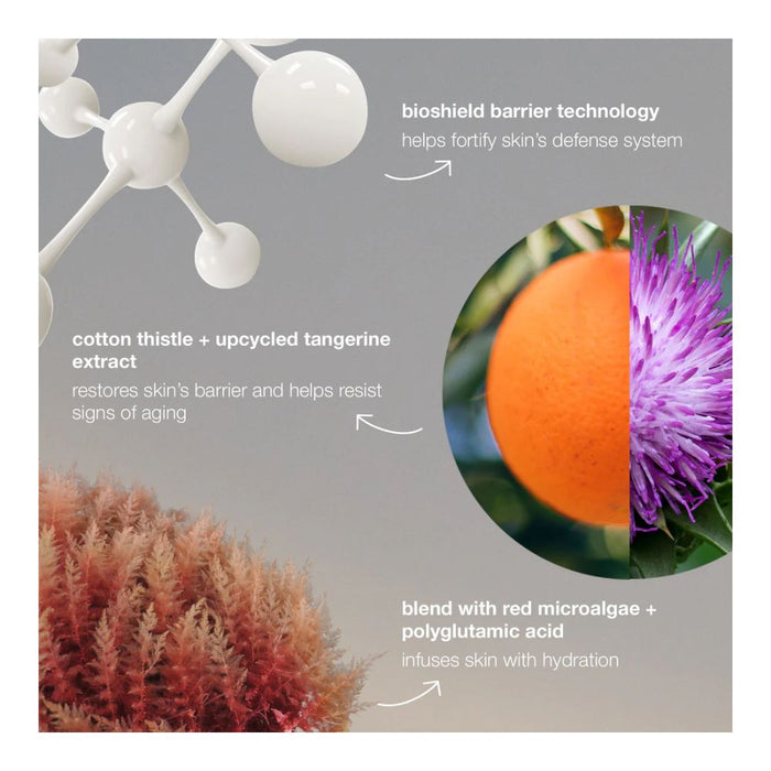 Dermalogica Dynamic Skin Strengthening Serum key ingredients