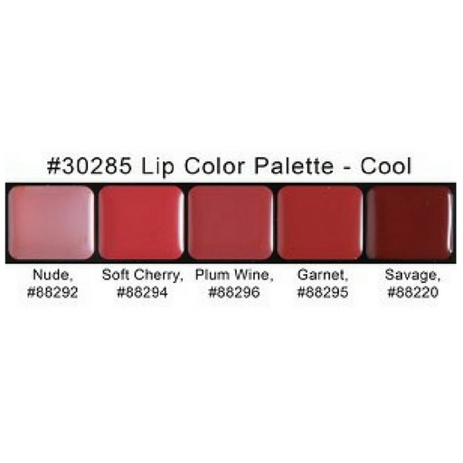Graftobian HD Lip Color Palette Cool Shades 2
