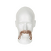 Stilazzi HD Mustache Large foam head