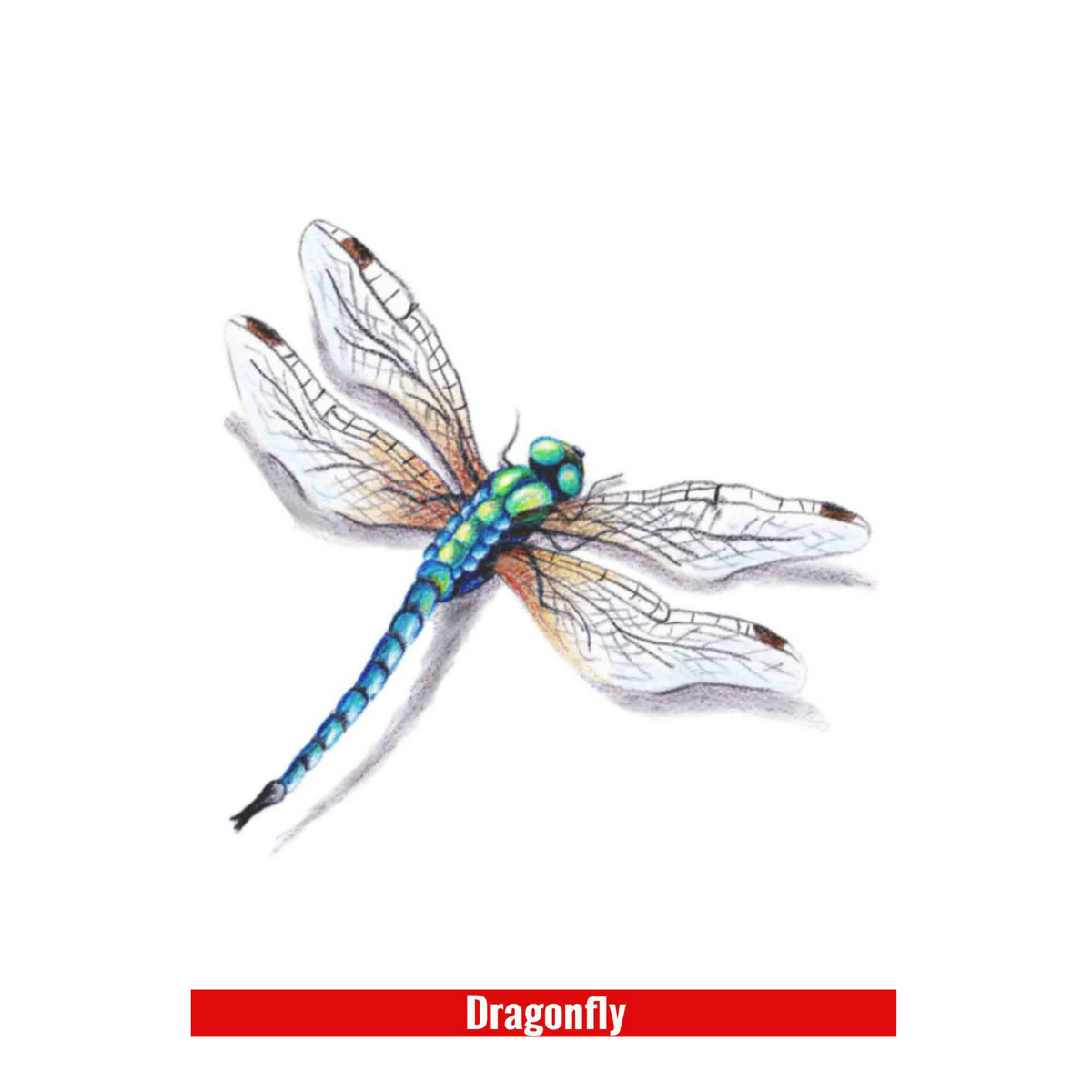 Sticker - Eyes Wide Dragonfly - Tangled Up In Hue