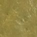 Skin Illustrator Alchemy Liquid - Iridium Green