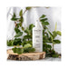 Leonor Greyl Tonique Vegetal  Stylized 