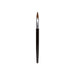 MUA Approved Disposable Lip Brushes 25ct. Single