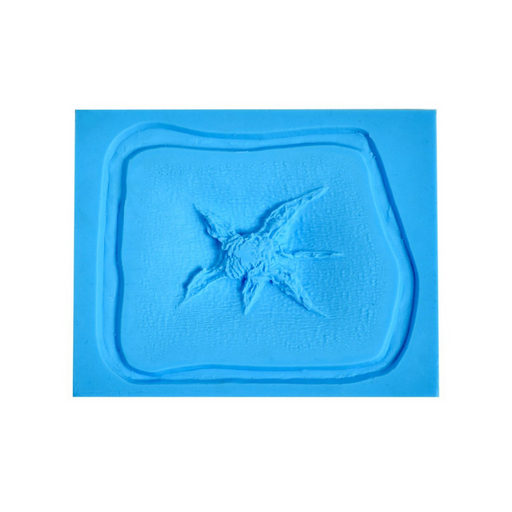 P.T.M. 6 pt Starfish Pattern Exit Wound Mold