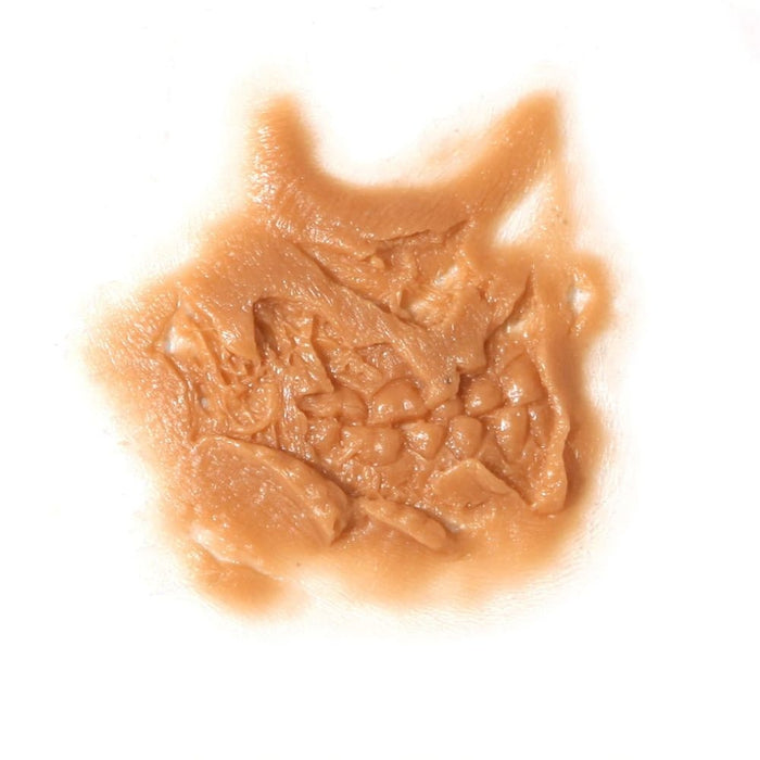 P.T.M. Platinum Silicone Hi-Ro Slip Molds Zombie Right Cheek