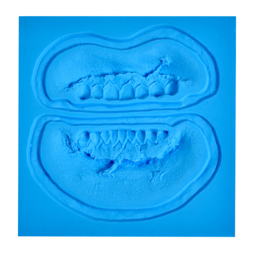 P.T.M. Zombie Teeth Mold