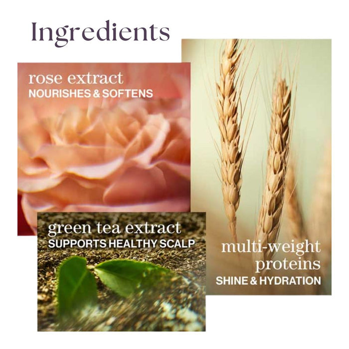 Pureology Pure Treats Hydrate Kit