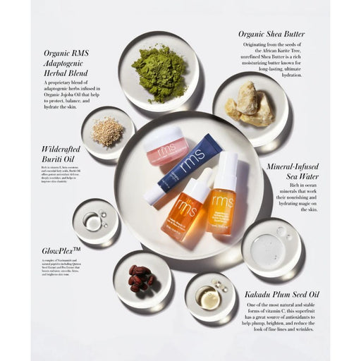 RMS Skincare Secrets Kit Products key ingredients infographic 