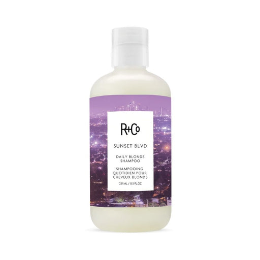 R+Co Sunset Blvd Daily Blonde Shampoo 8.5oz 