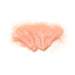 Tinsley FX Transfers Vampire Brow