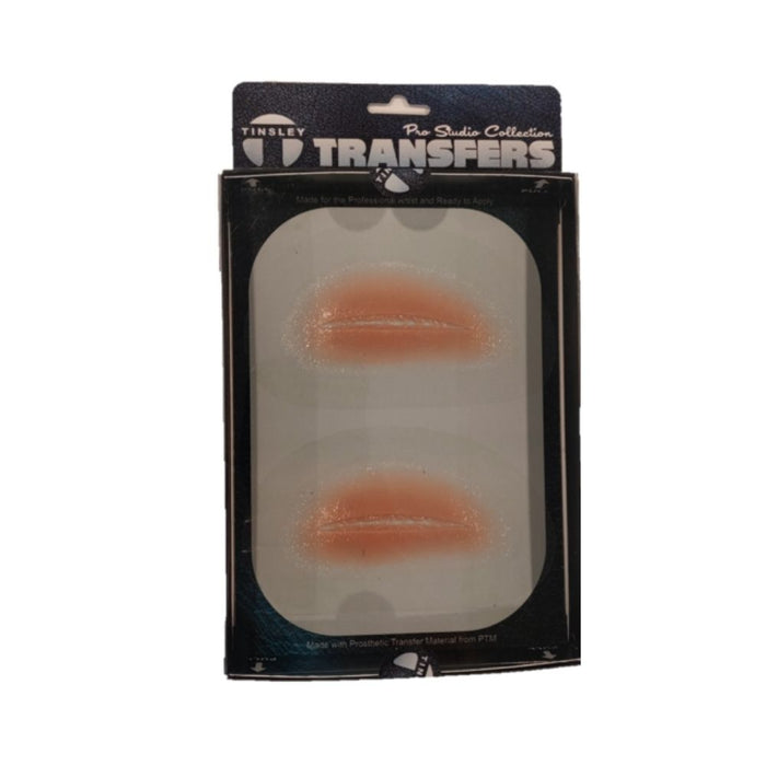TInsley Transfers Pro Studio Collection TRF004 - 2 x Small Gouged Flesh